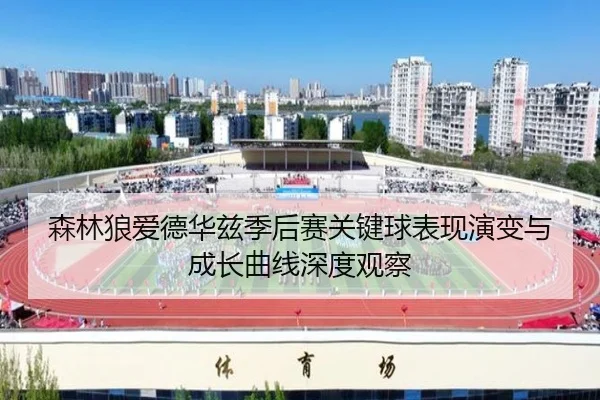 森林狼爱德华兹季后赛关键球表现演变与成长曲线深度观察